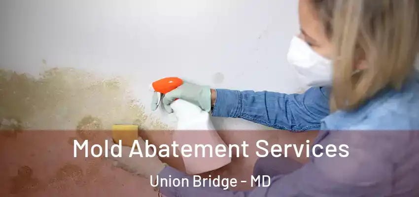 Mold Abatement Services Union Bridge - MD