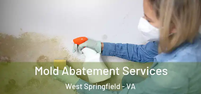  Mold Abatement Services West Springfield - VA