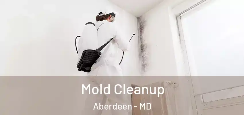 Mold Cleanup Aberdeen - MD
