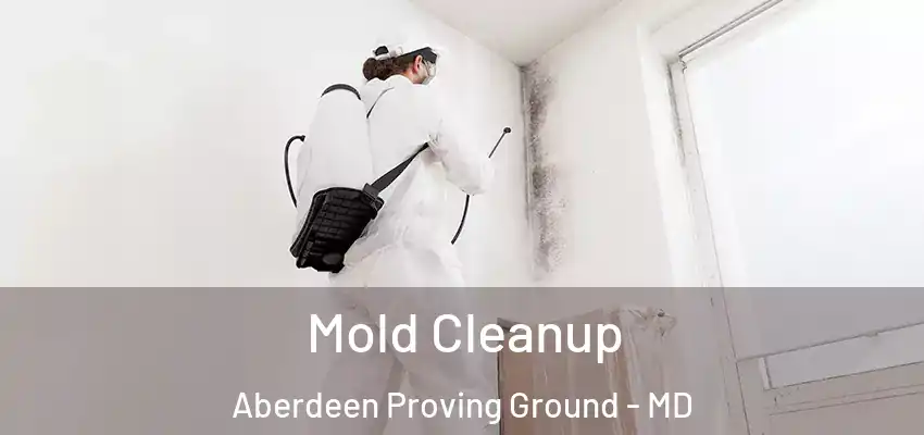  Mold Cleanup Aberdeen Proving Ground - MD
