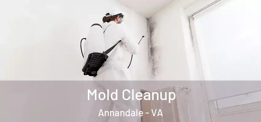  Mold Cleanup Annandale - VA
