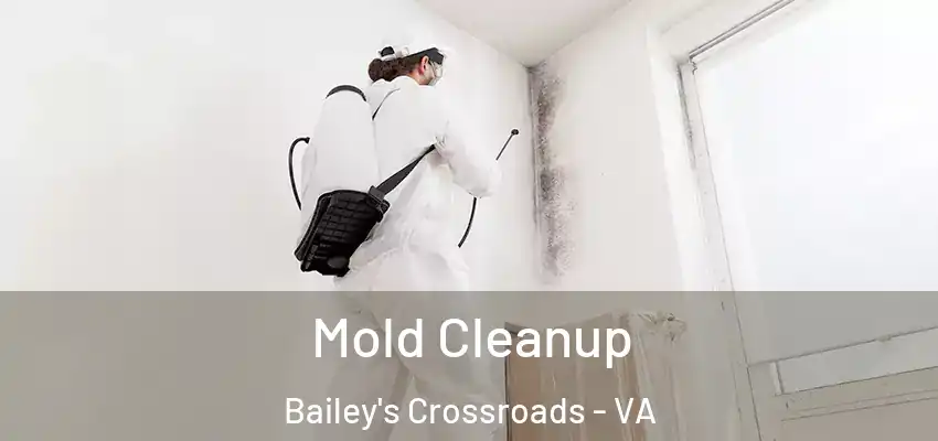 Mold Cleanup Bailey's Crossroads - VA