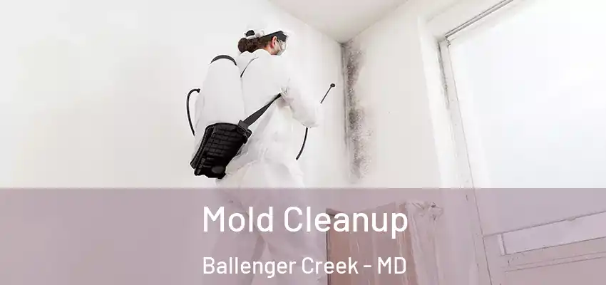 Mold Cleanup Ballenger Creek - MD