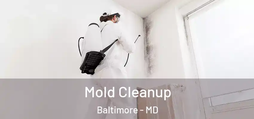 Mold Cleanup Baltimore - MD