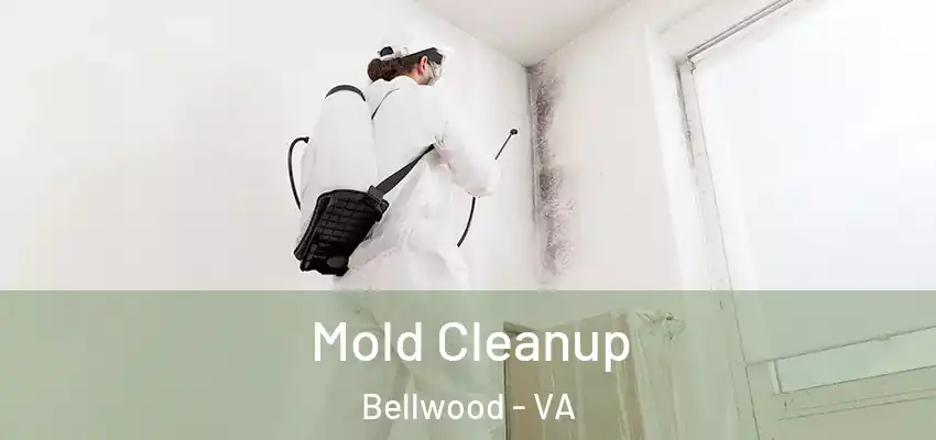  Mold Cleanup Bellwood - VA