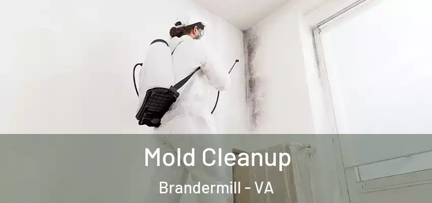 Mold Cleanup Brandermill - VA
