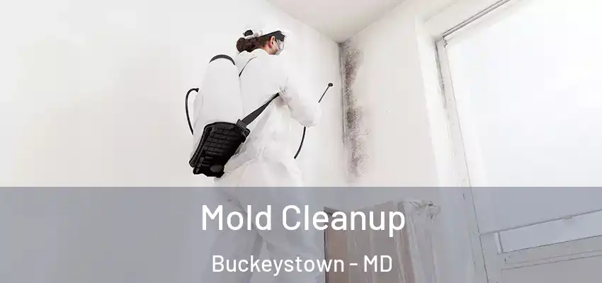  Mold Cleanup Buckeystown - MD