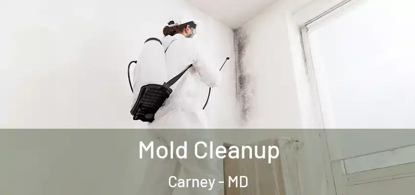 Mold Cleanup Carney - MD