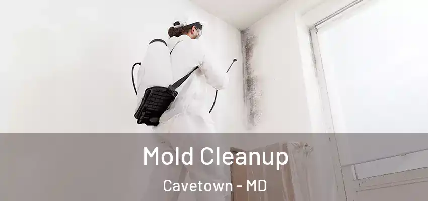  Mold Cleanup Cavetown - MD