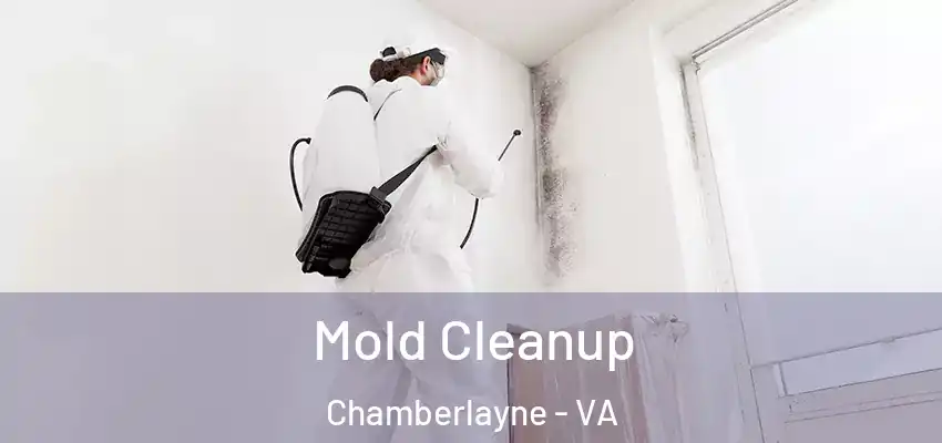  Mold Cleanup Chamberlayne - VA
