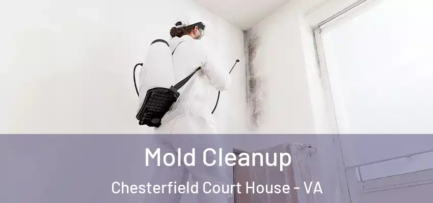 Mold Cleanup Chesterfield Court House - VA