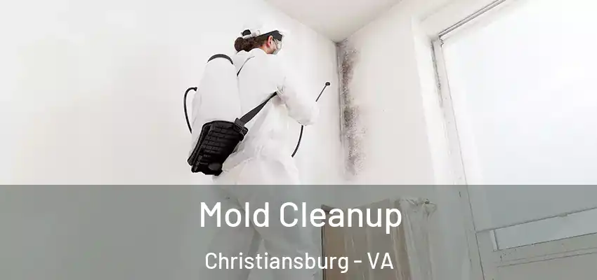 Mold Cleanup Christiansburg - VA