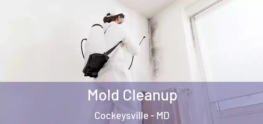  Mold Cleanup Cockeysville - MD