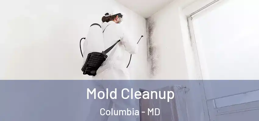Mold Cleanup Columbia - MD