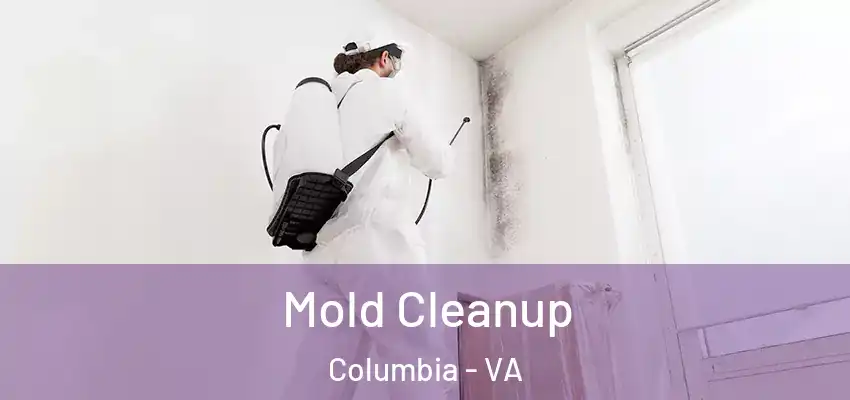  Mold Cleanup Columbia - VA