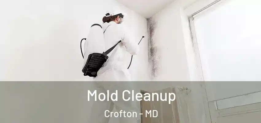 Mold Cleanup Crofton - MD