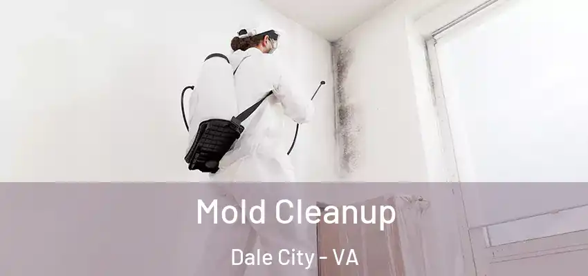 Mold Cleanup Dale City - VA