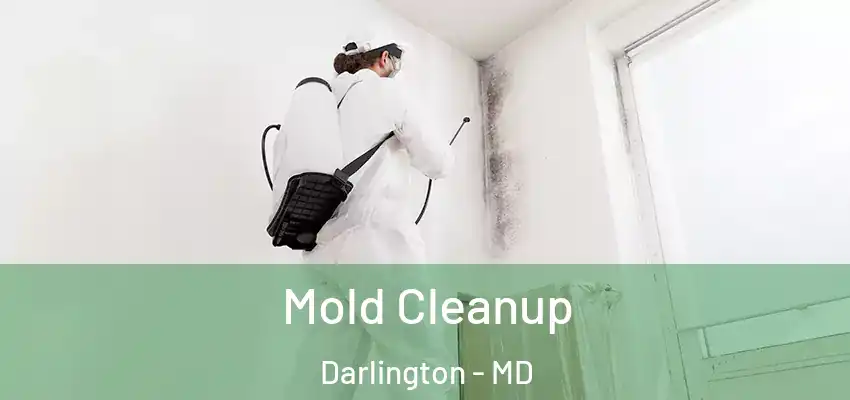  Mold Cleanup Darlington - MD