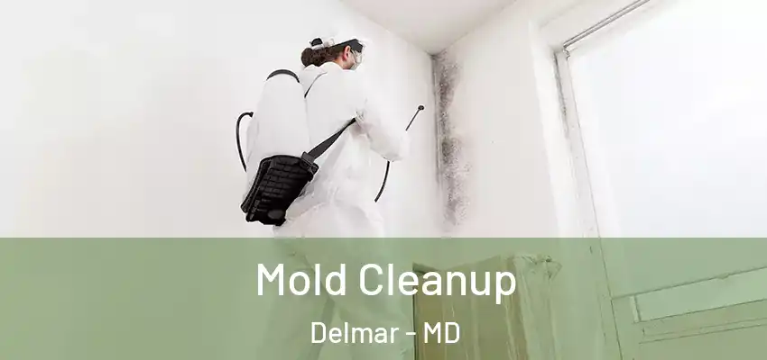 Mold Cleanup Delmar - MD