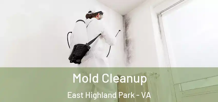 Mold Cleanup East Highland Park - VA