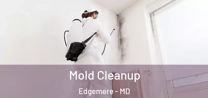 Mold Cleanup Edgemere - MD