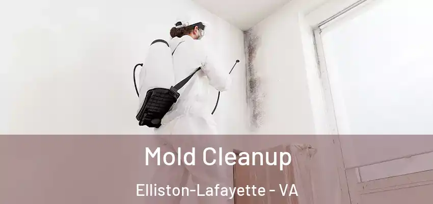  Mold Cleanup Elliston-Lafayette - VA