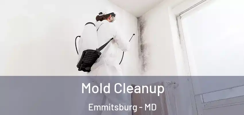 Mold Cleanup Emmitsburg - MD