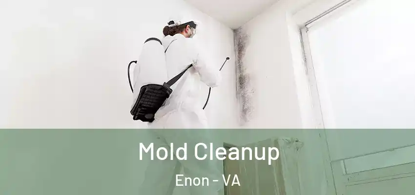  Mold Cleanup Enon - VA