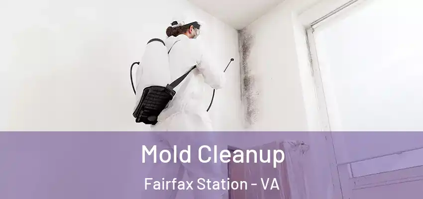 Mold Cleanup Fairfax Station - VA