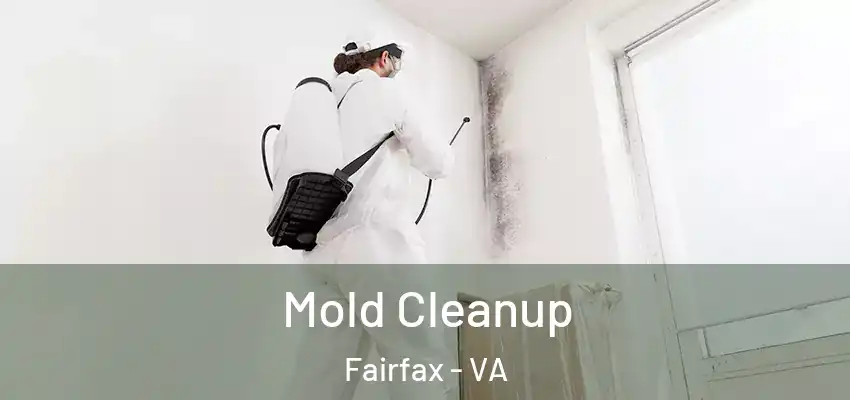 Mold Cleanup Fairfax - VA