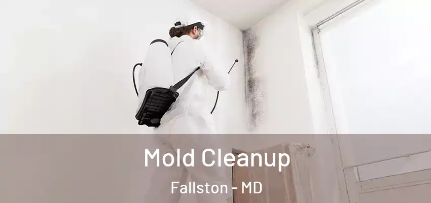  Mold Cleanup Fallston - MD