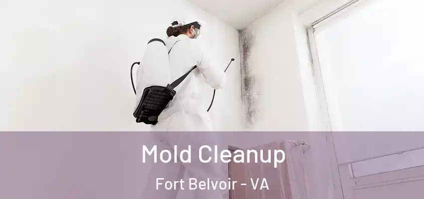 Mold Cleanup Fort Belvoir - VA