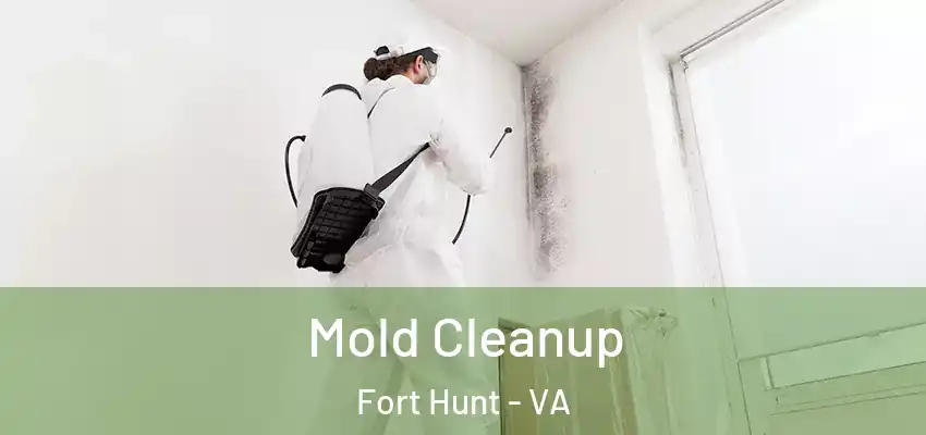 Mold Cleanup Fort Hunt - VA