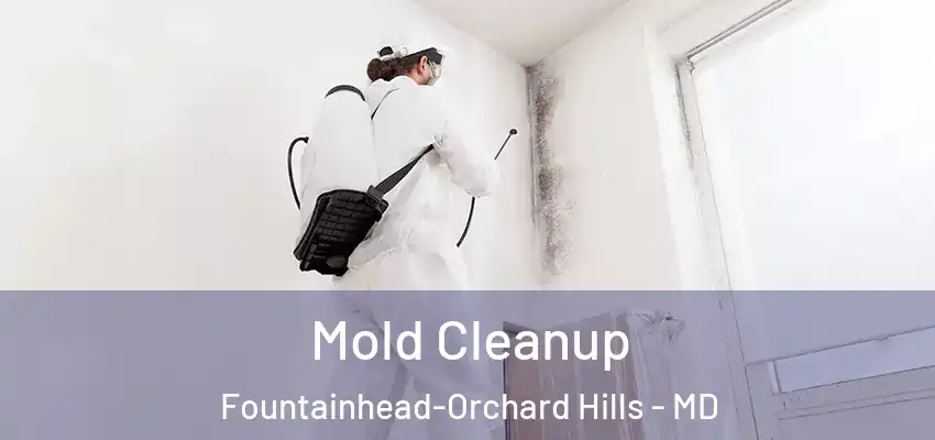  Mold Cleanup Fountainhead-Orchard Hills - MD