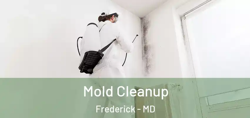  Mold Cleanup Frederick - MD