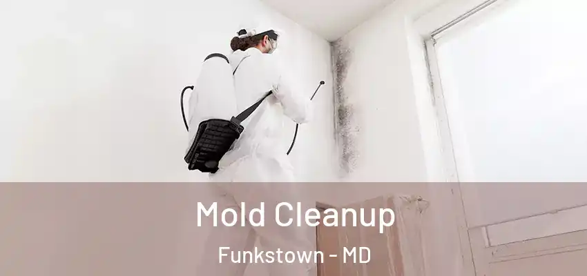 Mold Cleanup Funkstown - MD
