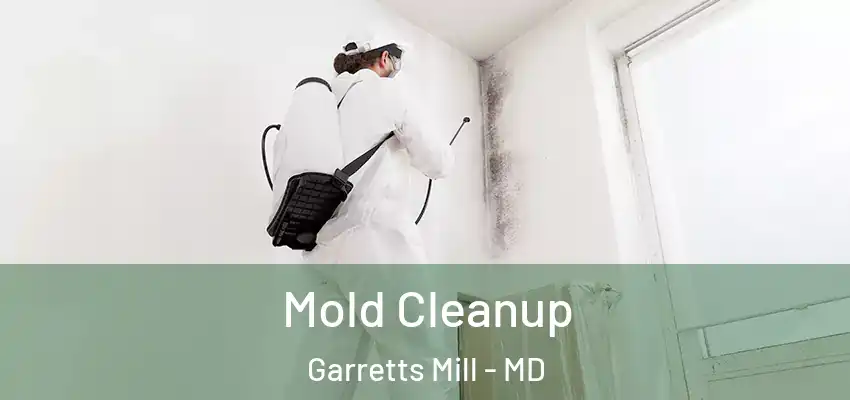 Mold Cleanup Garretts Mill - MD
