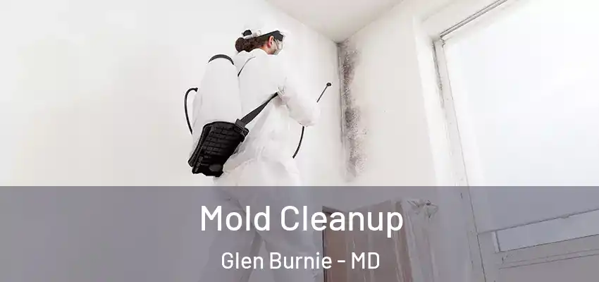  Mold Cleanup Glen Burnie - MD