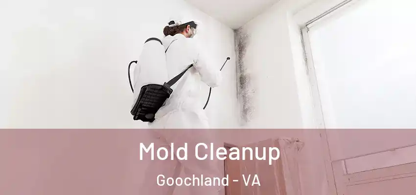 Mold Cleanup Goochland - VA