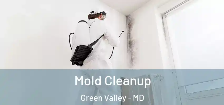 Mold Cleanup Green Valley - MD