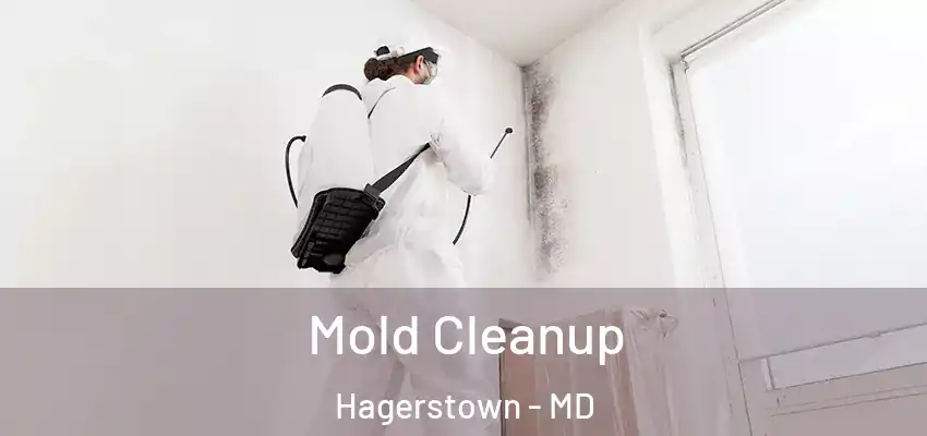 Mold Cleanup Hagerstown - MD
