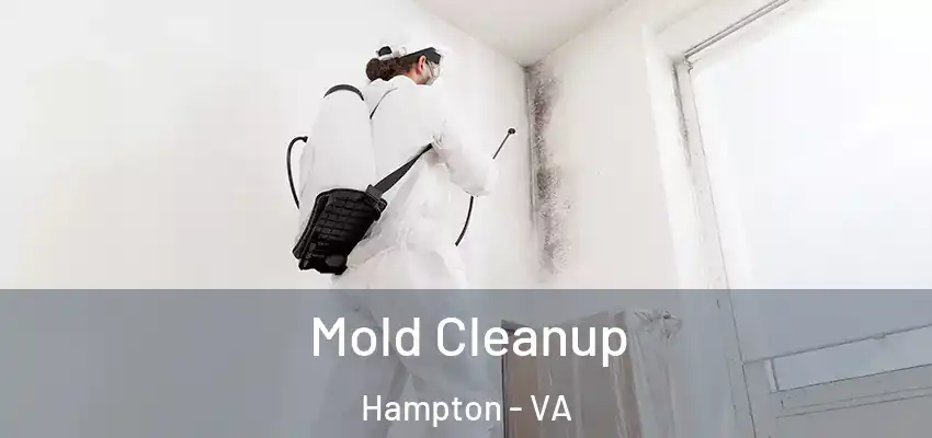  Mold Cleanup Hampton - VA
