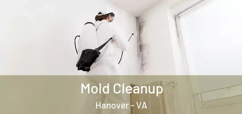  Mold Cleanup Hanover - VA