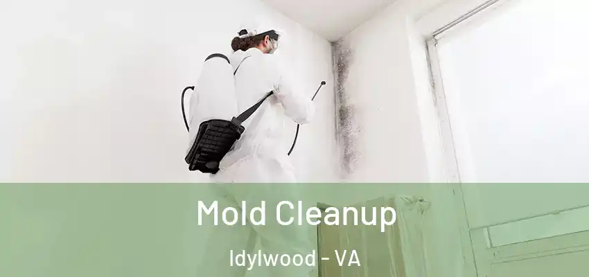 Mold Cleanup Idylwood - VA