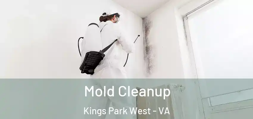  Mold Cleanup Kings Park West - VA