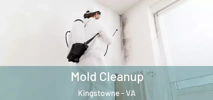  Mold Cleanup Kingstowne - VA