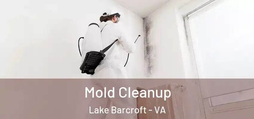 Mold Cleanup Lake Barcroft - VA