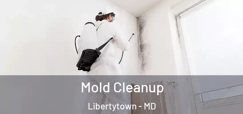 Mold Cleanup Libertytown - MD