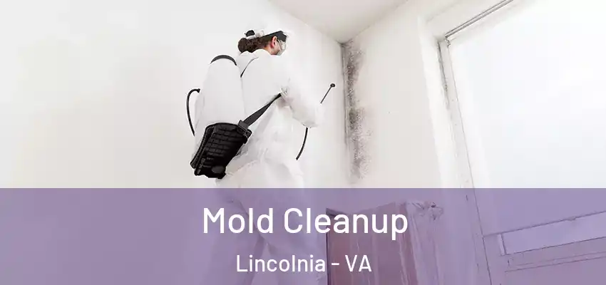 Mold Cleanup Lincolnia - VA