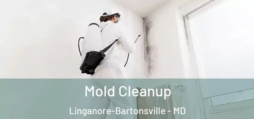  Mold Cleanup Linganore-Bartonsville - MD